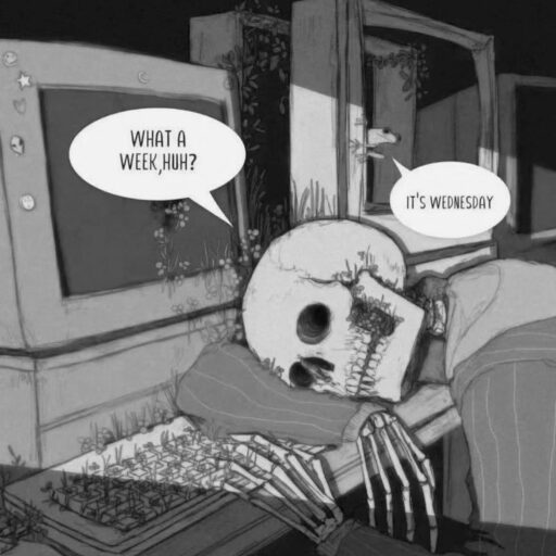 miércoles